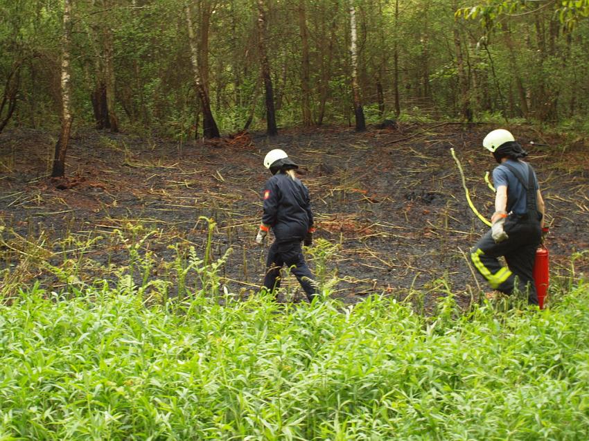 Waldbrand Bergisch Gladbach Bensberg P095.JPG